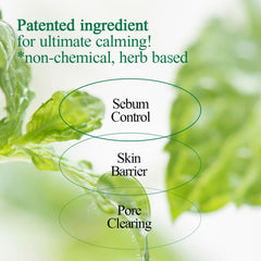 Pyunkang Yul PKY – ingrédients cica et arbre à thé pour calmer la peau.