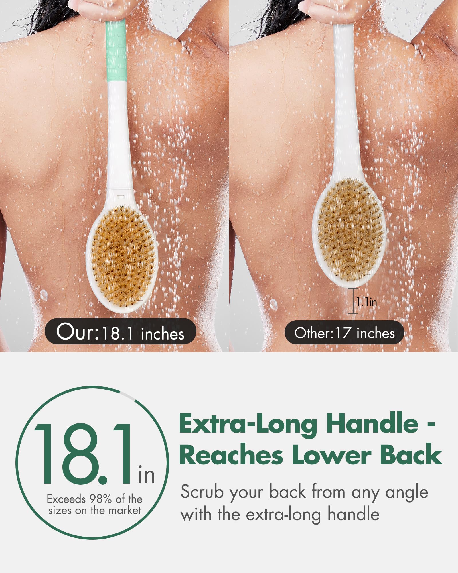 Rafow brosse double-face avec poils durs et souples pour exfolier.
