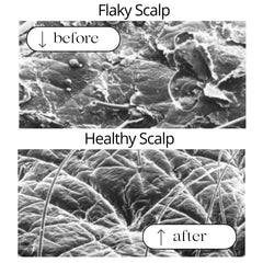 RAUSCH tussilage-shampoing-mousse-douce, texture onctueuse qui enveloppe les cheveux.