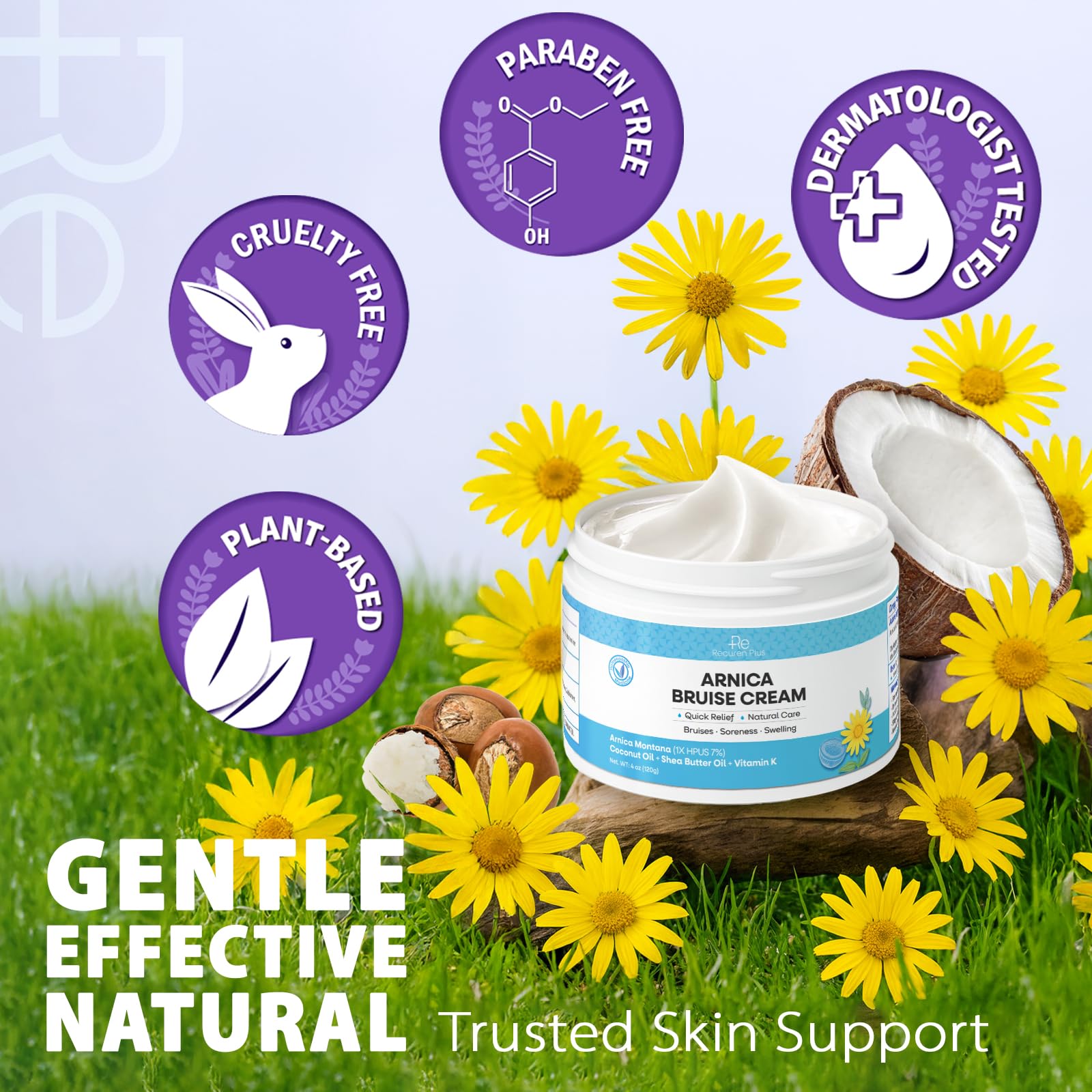 Ingrédients botaniques Crème Arnica Recuren Plus, soin nourrissant pour la peau