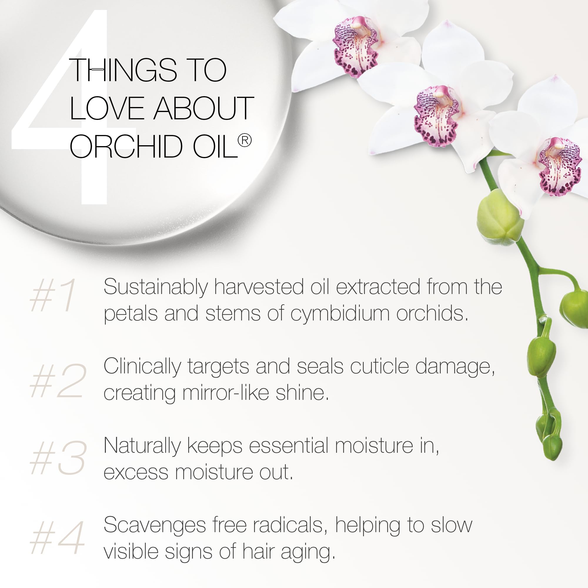 Redavid Orchid Oil – Texture soyeuse qui nourrit les cheveux en profondeur.