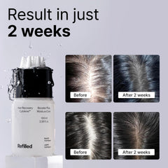 Refilled Booster Plus Moisture – absorption rapide sans résidu gras
