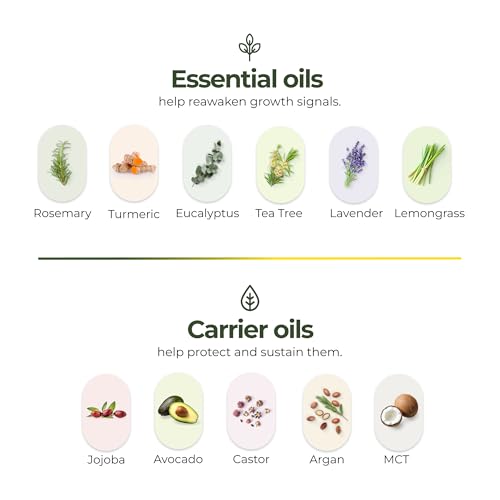 Regener8 – rituel soin cheveux, aromathérapie apaisante et bien-être