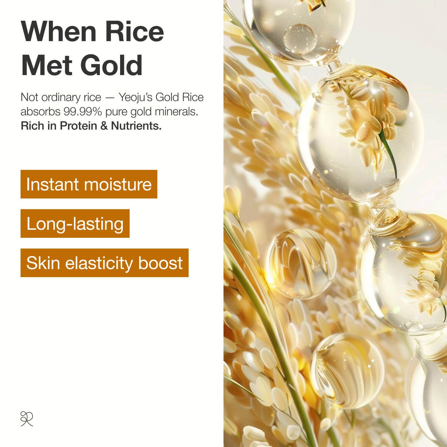 Ingrédients micro-nutriments riz-or énergie nourrissent la peau.