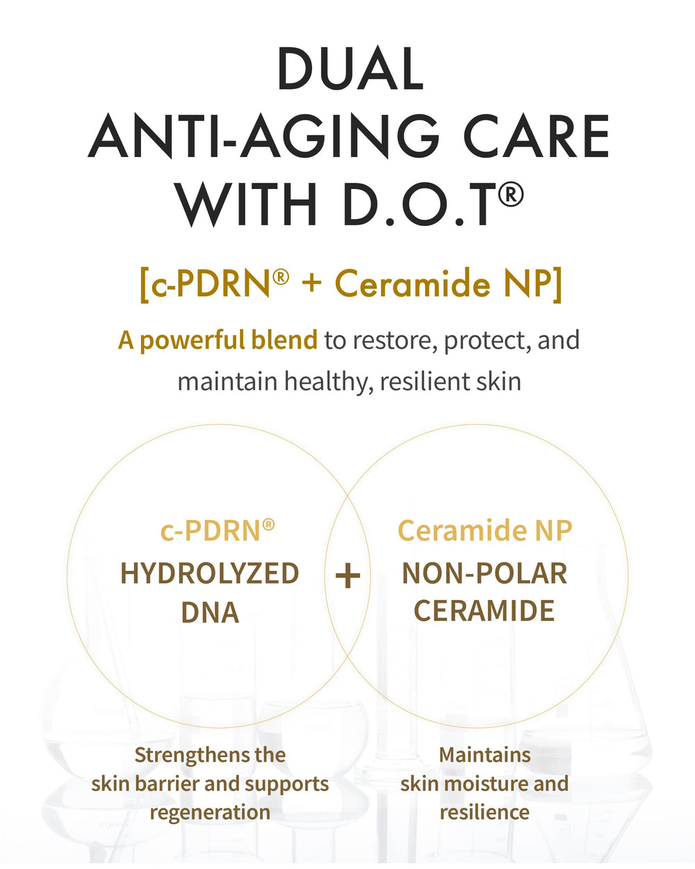 REJURAN Dual Effect Ampoule application routine : intégré dans votre rituel quotidien