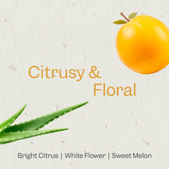 Application facile sur longueurs et pointes avec RENPURE Marula Aloe