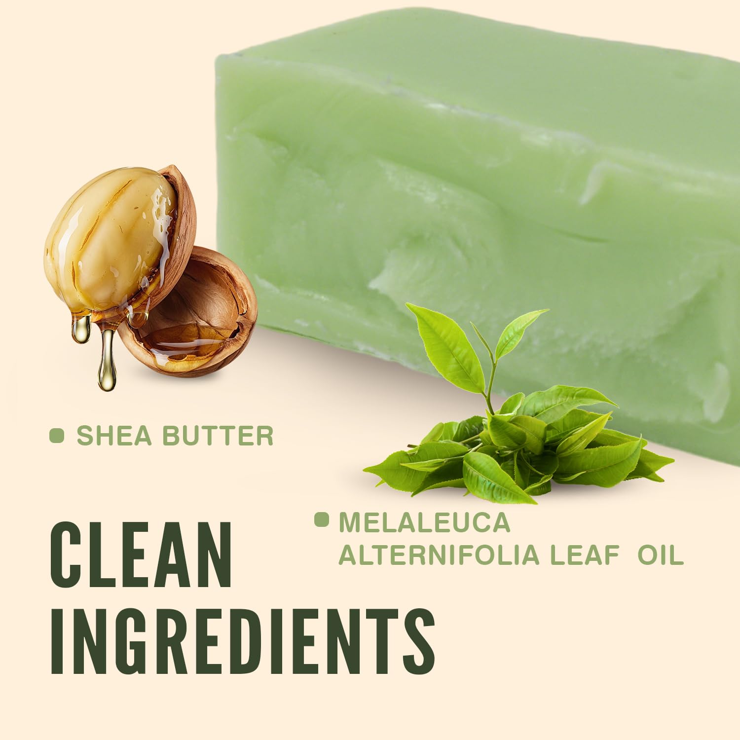 Rinse & Robust tea tree soap bar for beard care and grooming.