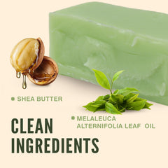 Rinse & Robust tea tree soap bar for beard care and grooming.