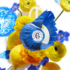 ROGER & GALLET Bois de Santal: mousse généreuse enveloppe la peau.