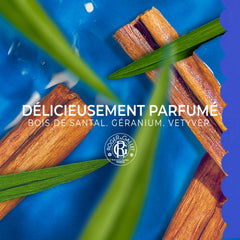 ROGER & GALLET Bois de Santal: emballage raffiné reflétant l'expérience.
