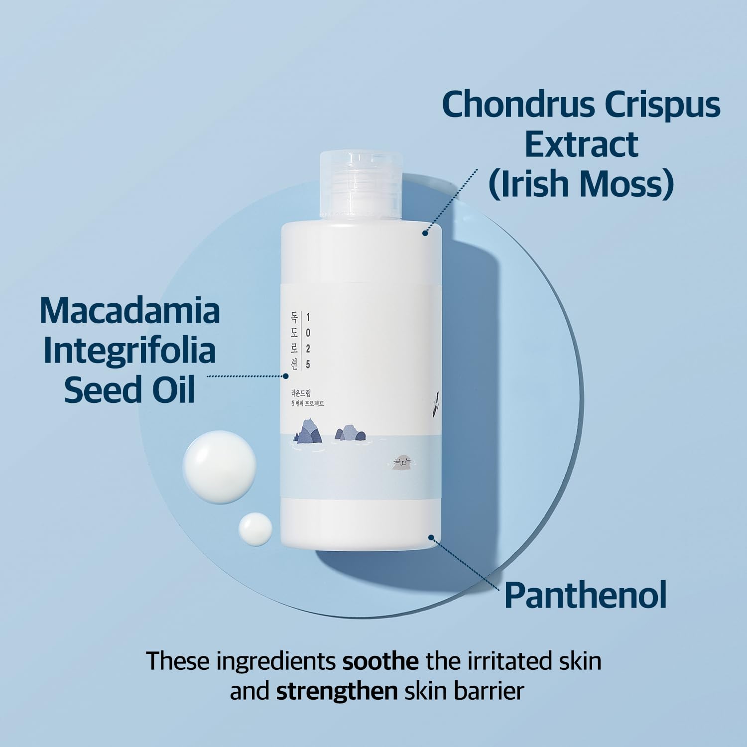 ROUND LAB 1025 Dokdo Lotion — absorption rapide après nettoyage.