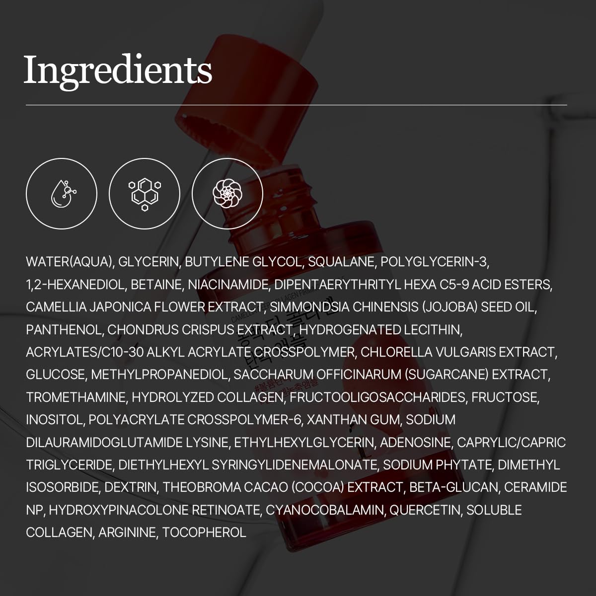 ROUND LAB Camellia Deep Collagen Ampoule : vitamine B12 revitalisant la peau.