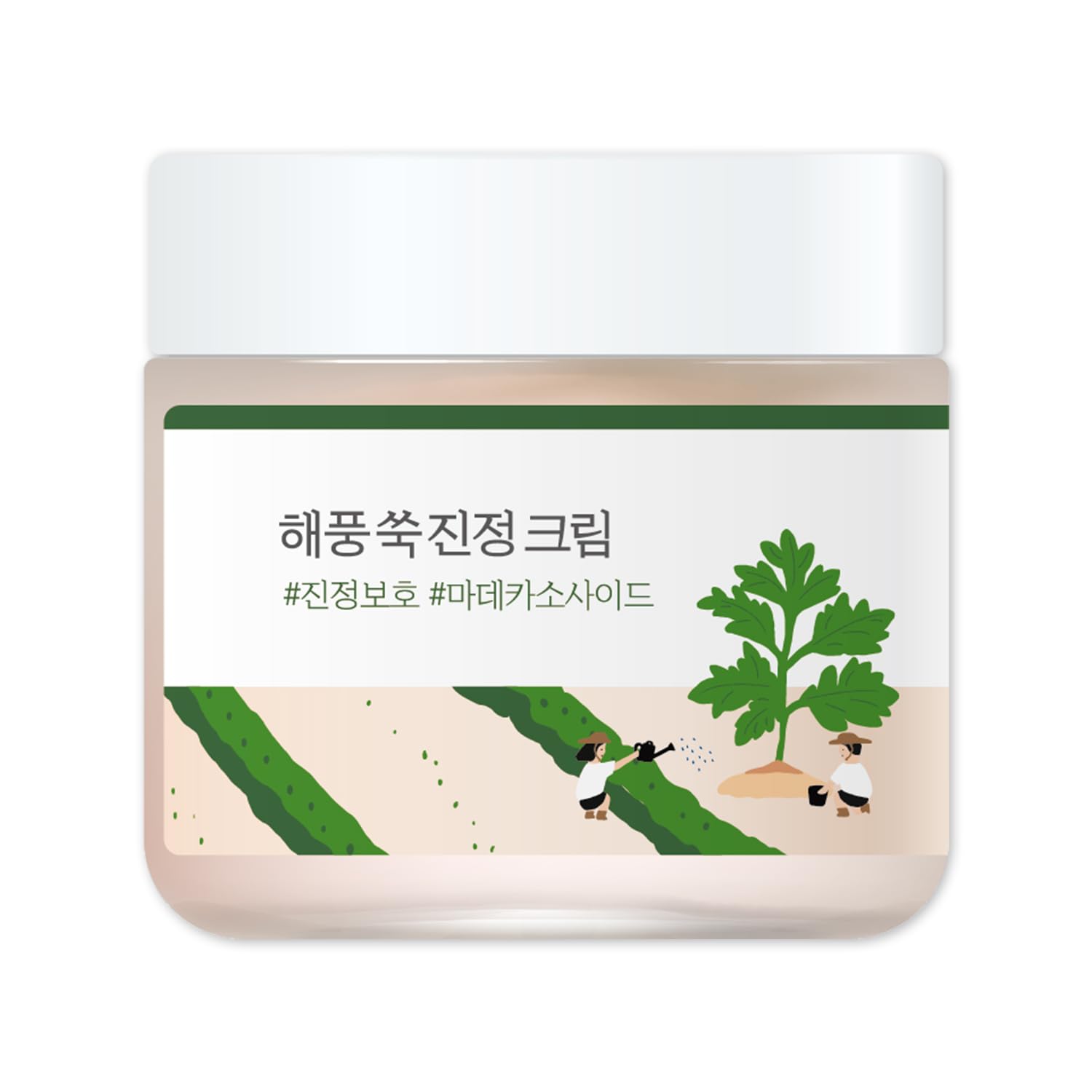 ROUND LAB crème armoise apaisante 80ml, hydratation légère pour peau sensible.