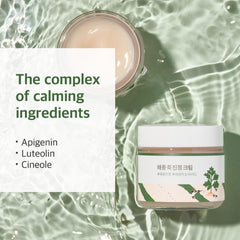 Feuilles d’armoise visibles – concentration naturelle pour le confort de la peau.