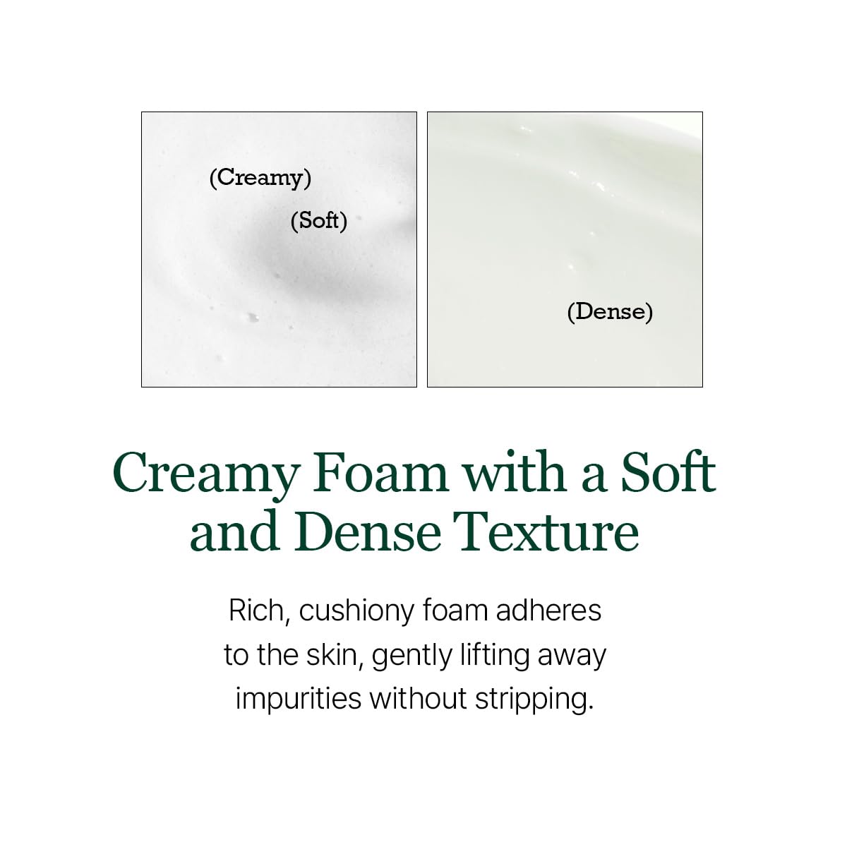 ROUND LAB Pine Calming Cica Cleanser est conçu pour les peaux sensibles et réactives.