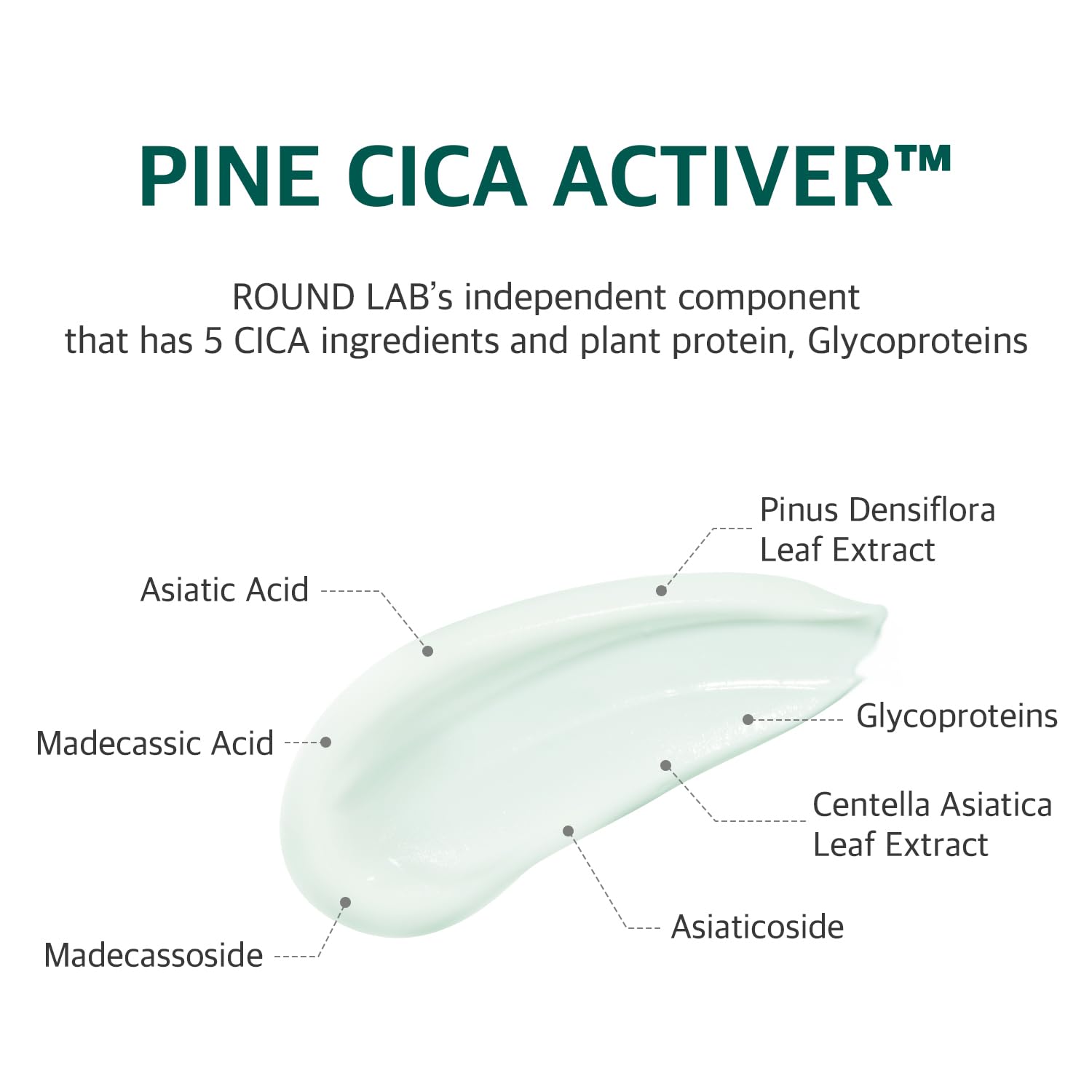 Régulation du sébum grâce à ROUND LAB Pine Calming Cica Cream.