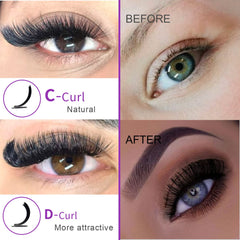 Cils Royaomis faux D-Curl, application rapide pour un regard salon