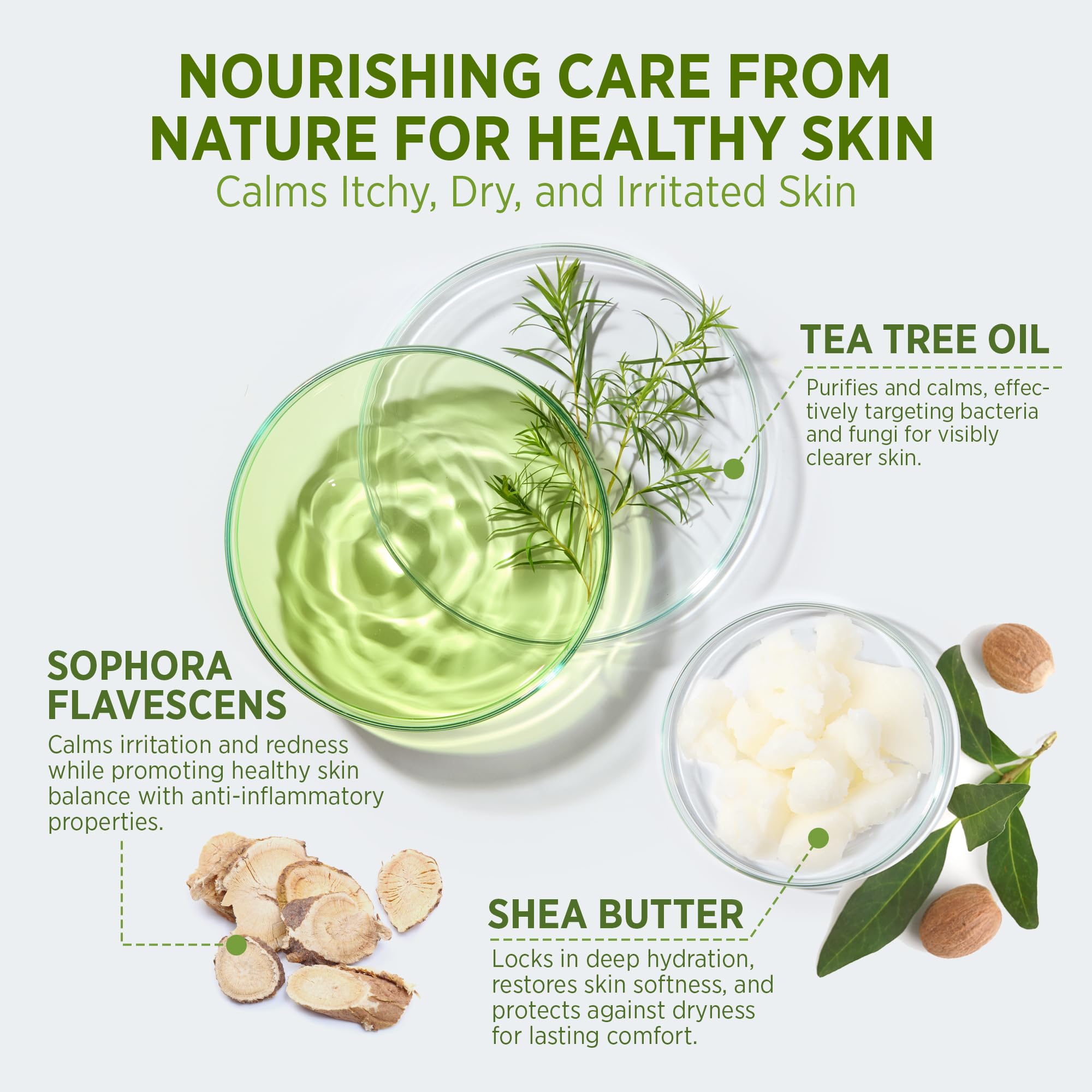 Roycederm Gel douche antifongique à l’huile d’arbre à thé — douceur et efficacité