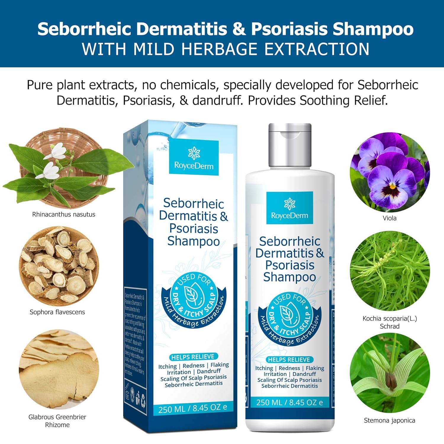 Roycederm Shampoo Application-3-5-Minutes: laissez agir 3 à 5 minutes pour absorption.