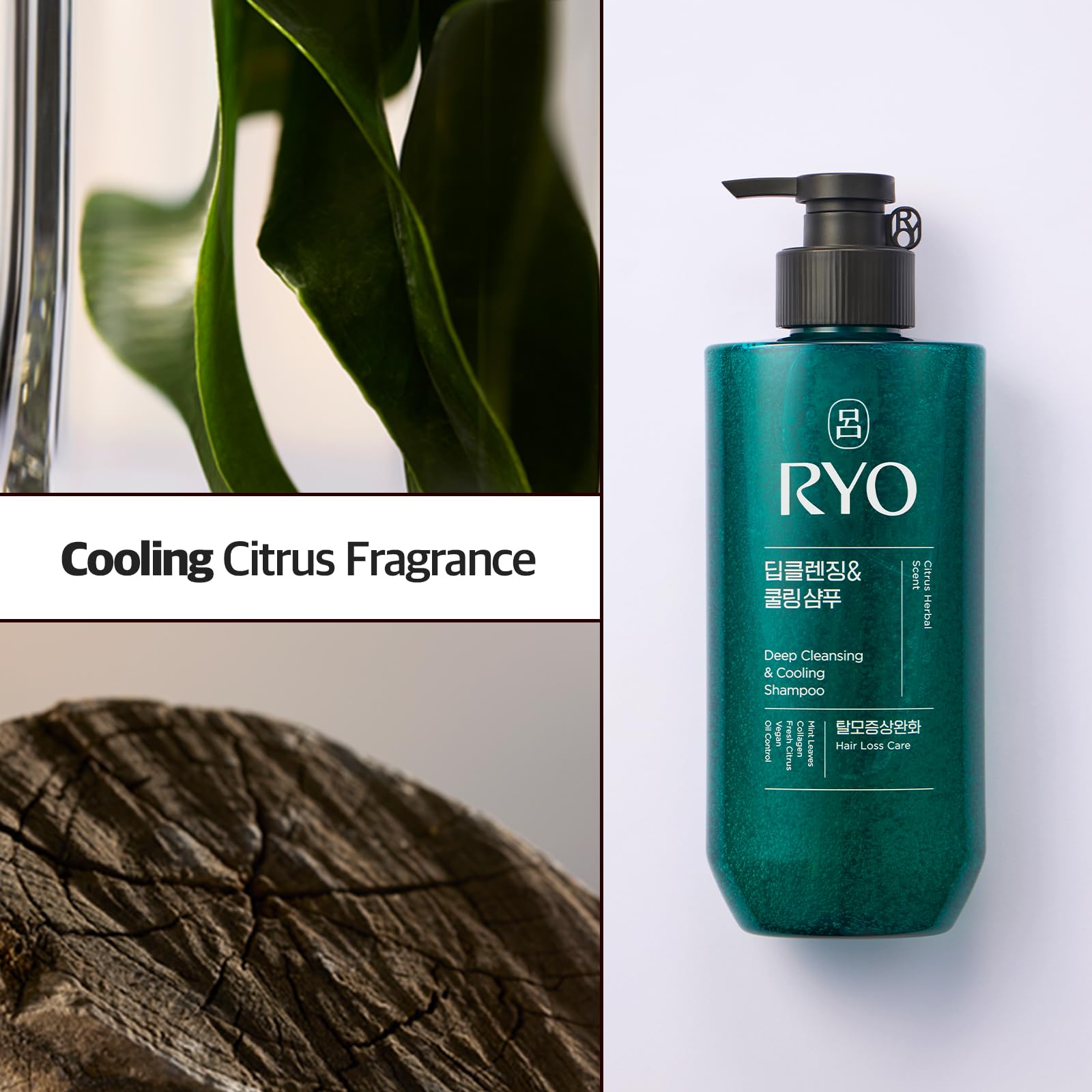 RYO Shampoing Ginseng Caféine : ingrédients actifs soutiennent la vitalité capillaire