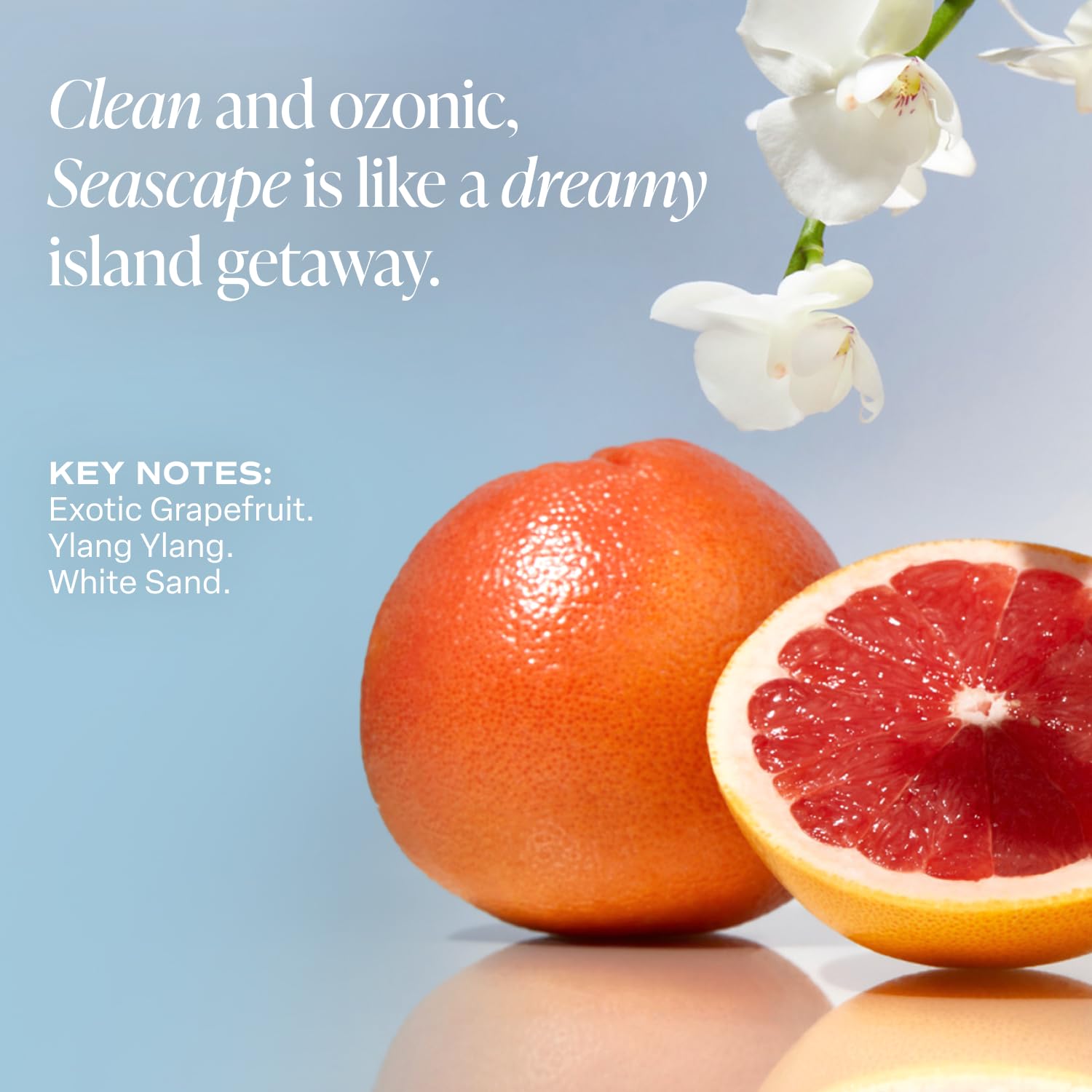 Parfum exotique Saltair Seascape avec notes agrumes et Ylang-Ylang