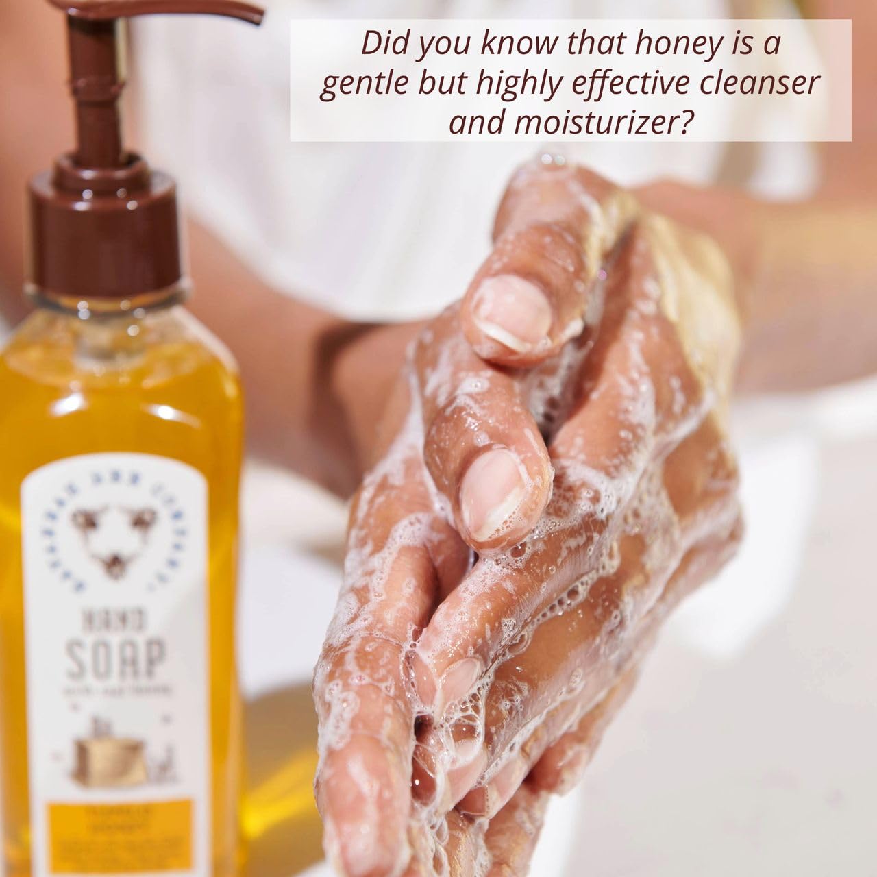 Savannah Bee Company ingrédient Aloe Vera — soin hydratant et apaisant.