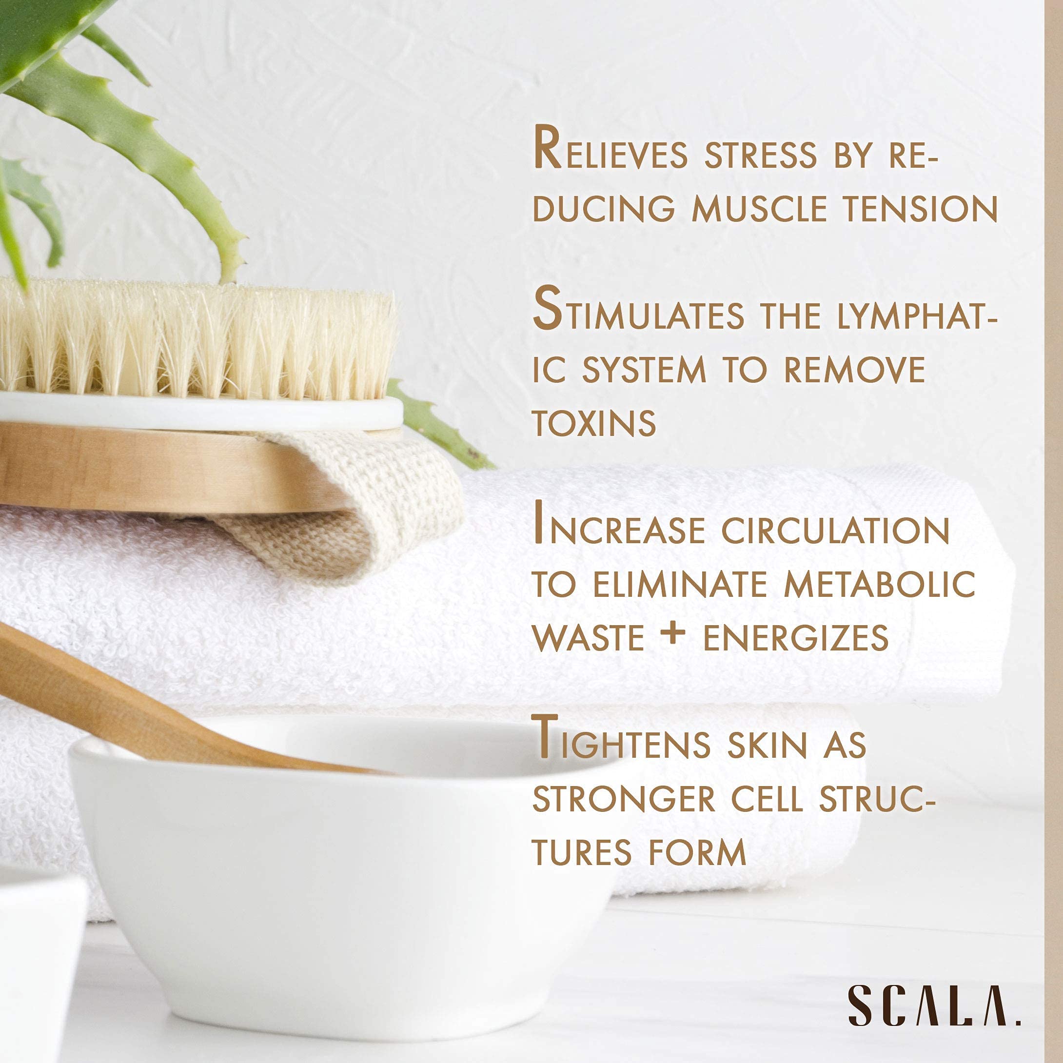Aperçu des poils exfoliants de la brosse Scala pour corps sec