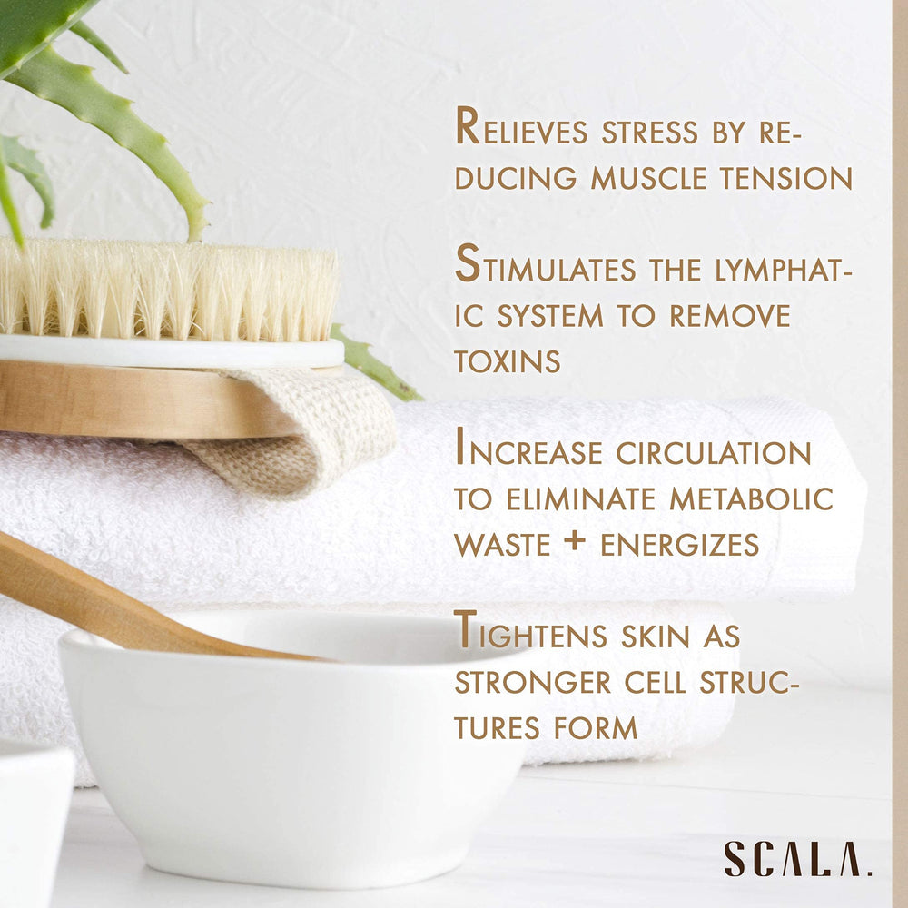Aperçu des poils exfoliants de la brosse Scala pour corps sec