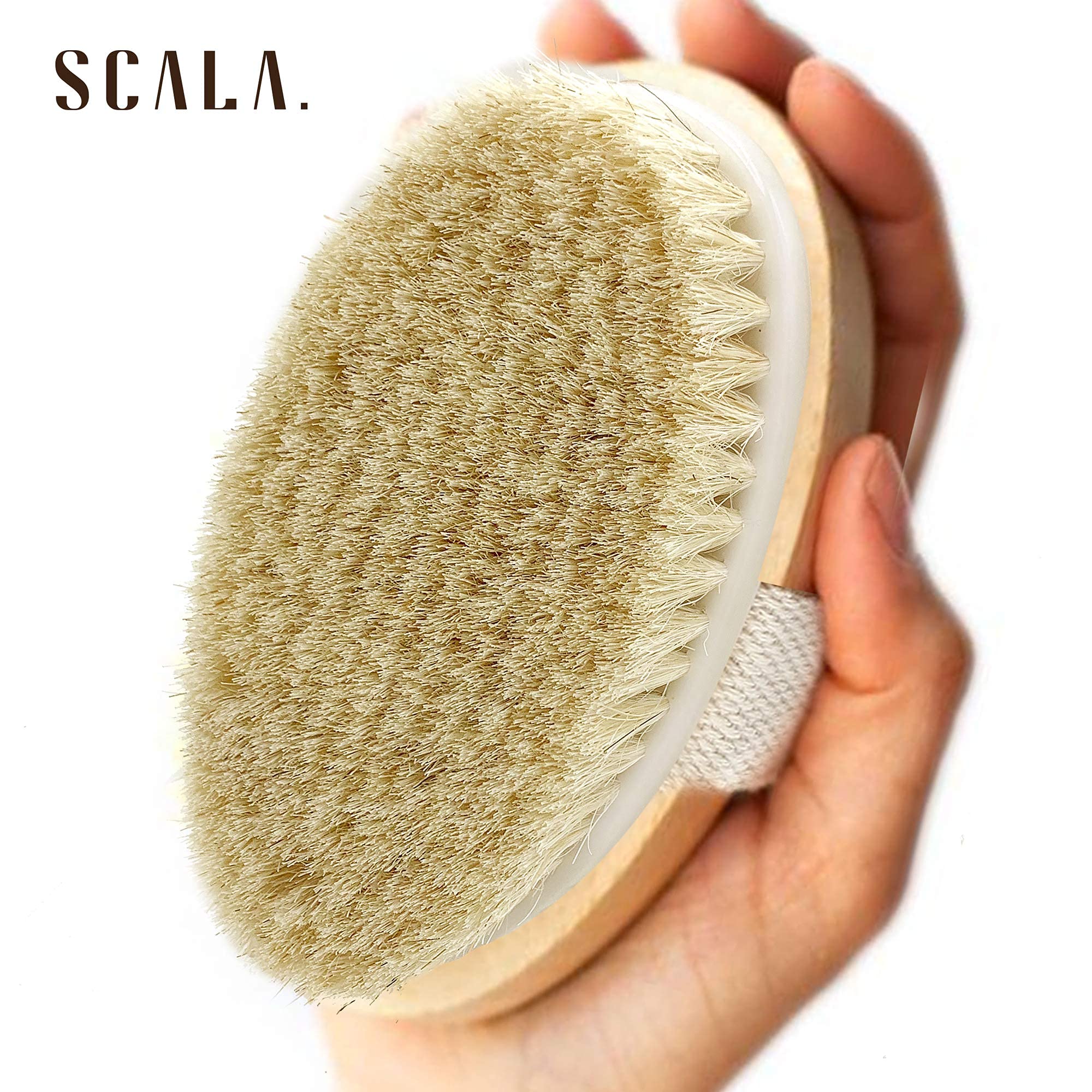 Sangle coton de la brosse Scala pour une adhérence sûre