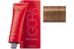 Schwarzkopf Igora Royal 7-65 nuancier montrant une teinte riche et durable.