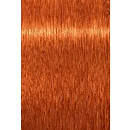 Schwarzkopf Igora Royal crème colorante 8-77 en application fluide.