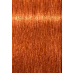 Schwarzkopf Igora Royal crème colorante 8-77 en application fluide.