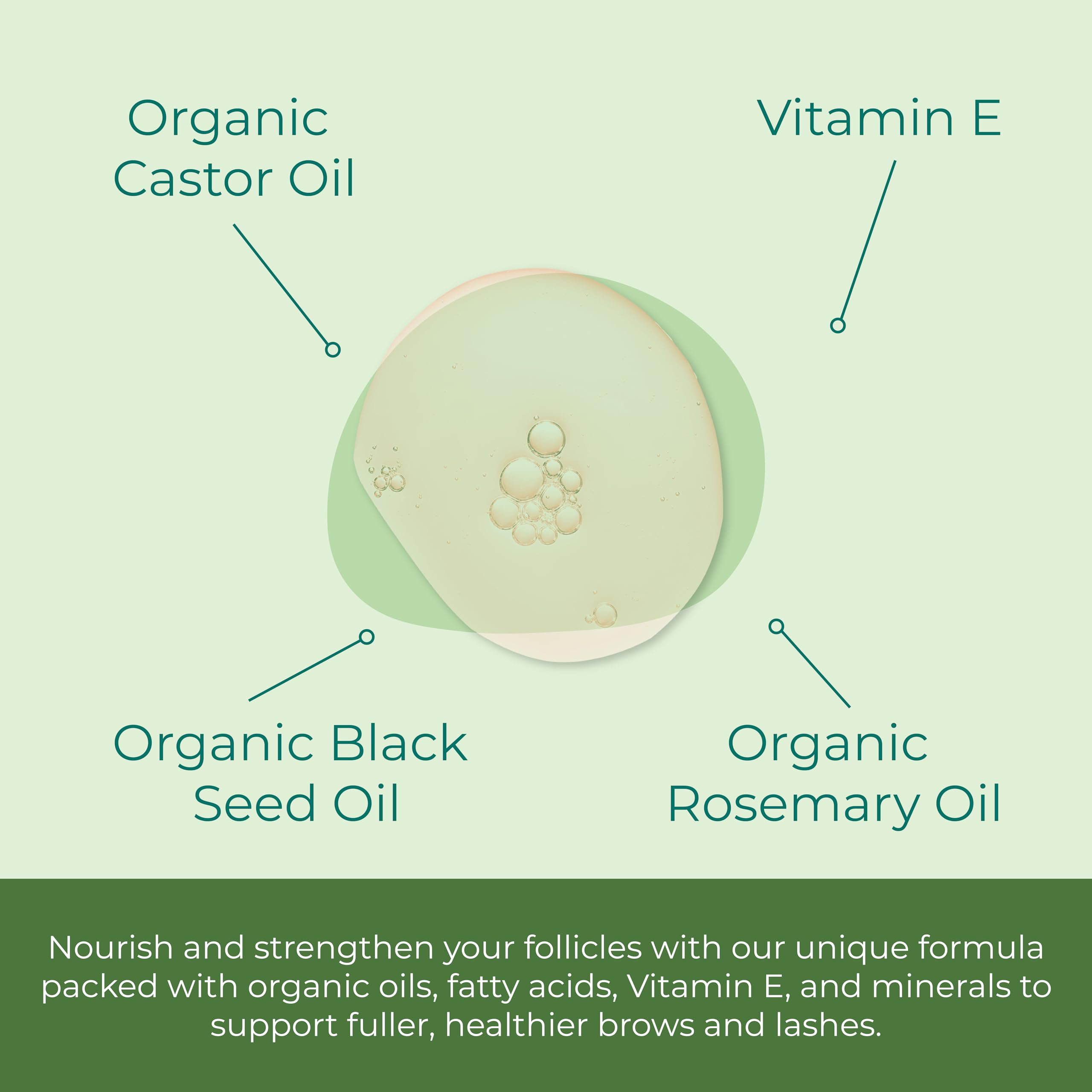 Sea-el Sérum Castor formule biologique à 99%, pour nourrir les cils et sourcils.