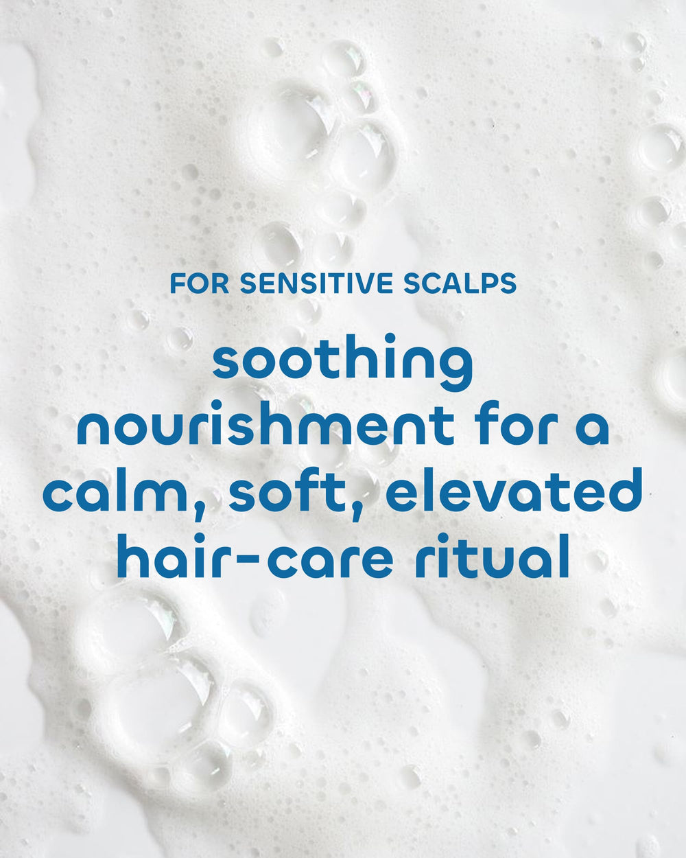 Formule Seaweed Bath Co argan et aloe pour cheveux éclatants