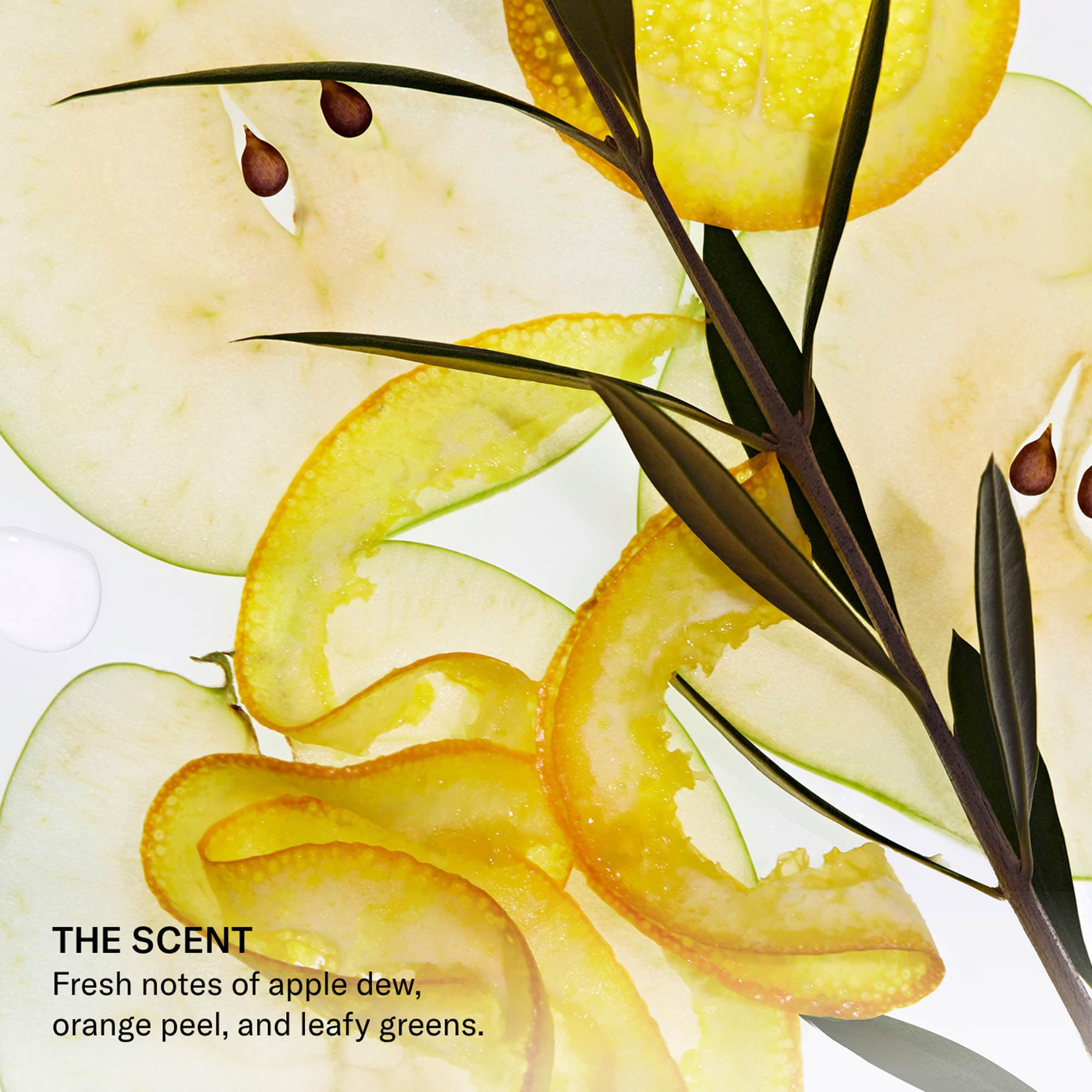 SEEN Conditionneur - Après-shampooing parfumé, sans irritants majeurs.