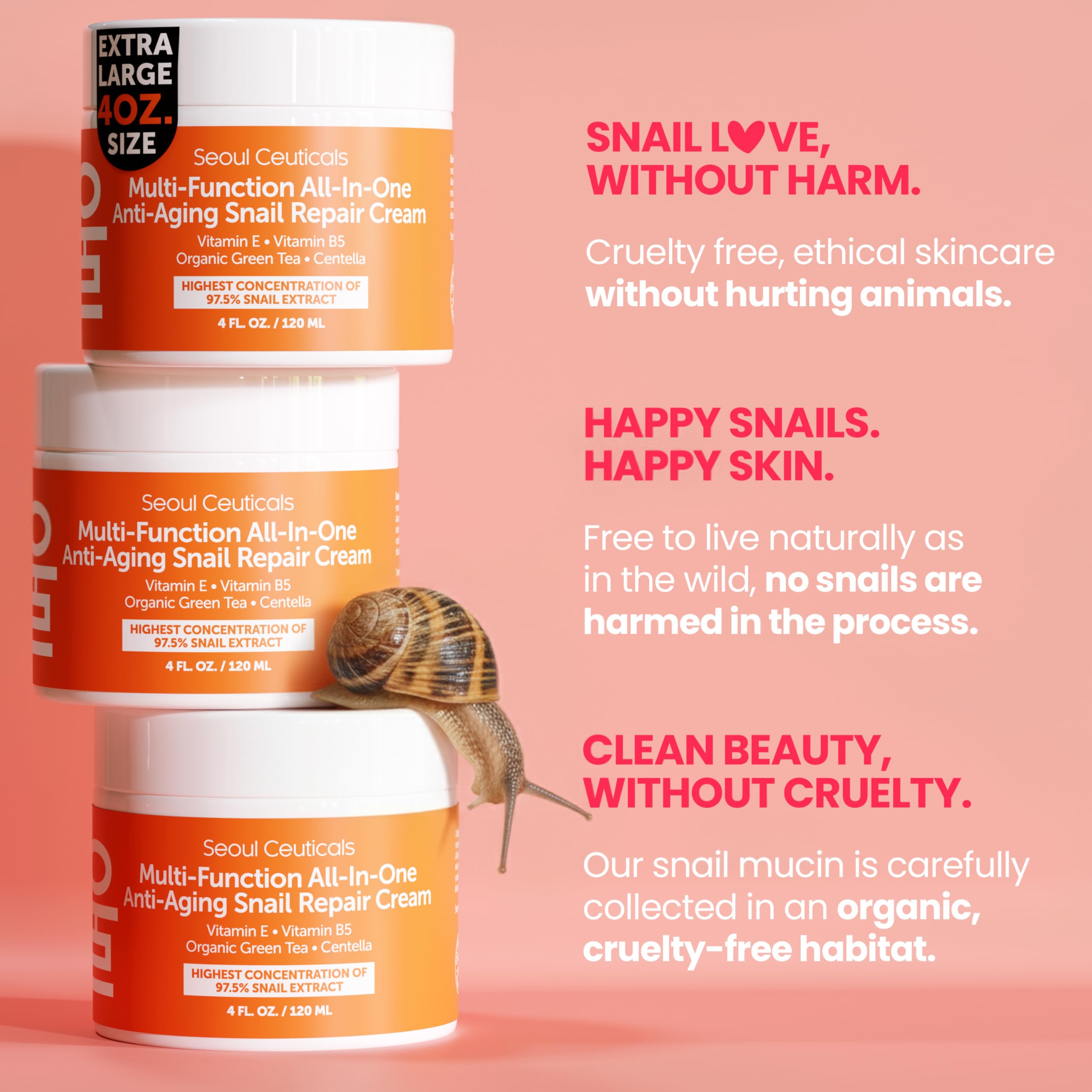 Pot crème 4 oz SeoulCeuticals – emballage élégant et pratique.