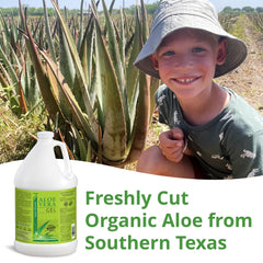 Gel Aloe Vera Seven Minerals pur Texas, sans parfum, idéal pour soins DIY.