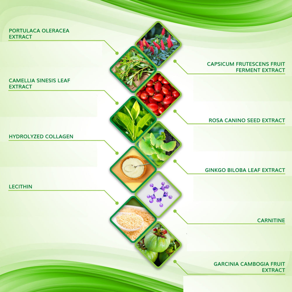 Shape and Tone ingrédients-naturels avec Ginkgo Biloba pour soin cutané.