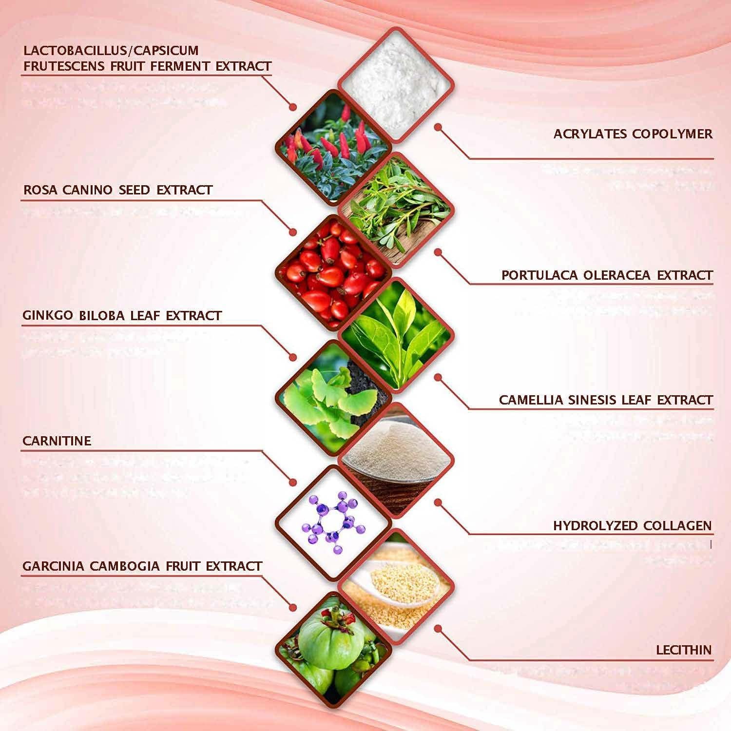 Shape and Tone Body Products – utilisation rapide et agréable au quotidien.