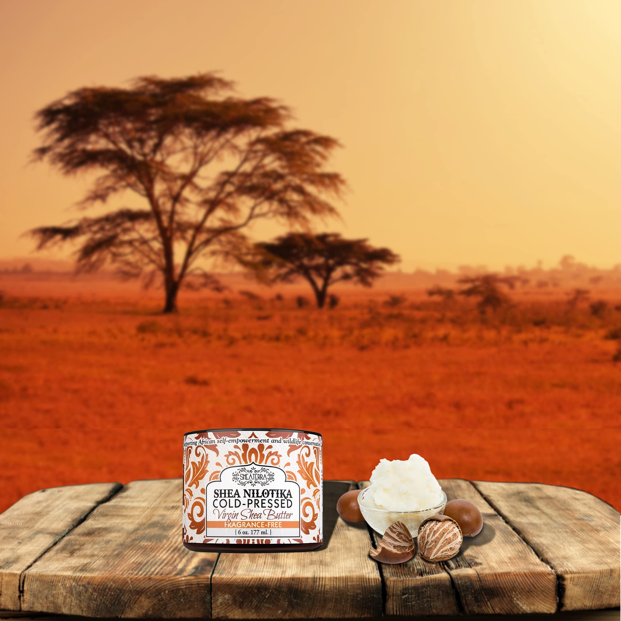 Beurre de karité Shea Terra Organics d’Afrique de l’Est, riche en oleine et tocophérols