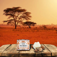 Beurre de karité Shea Terra Organics d’Afrique de l’Est, riche en oleine et tocophérols