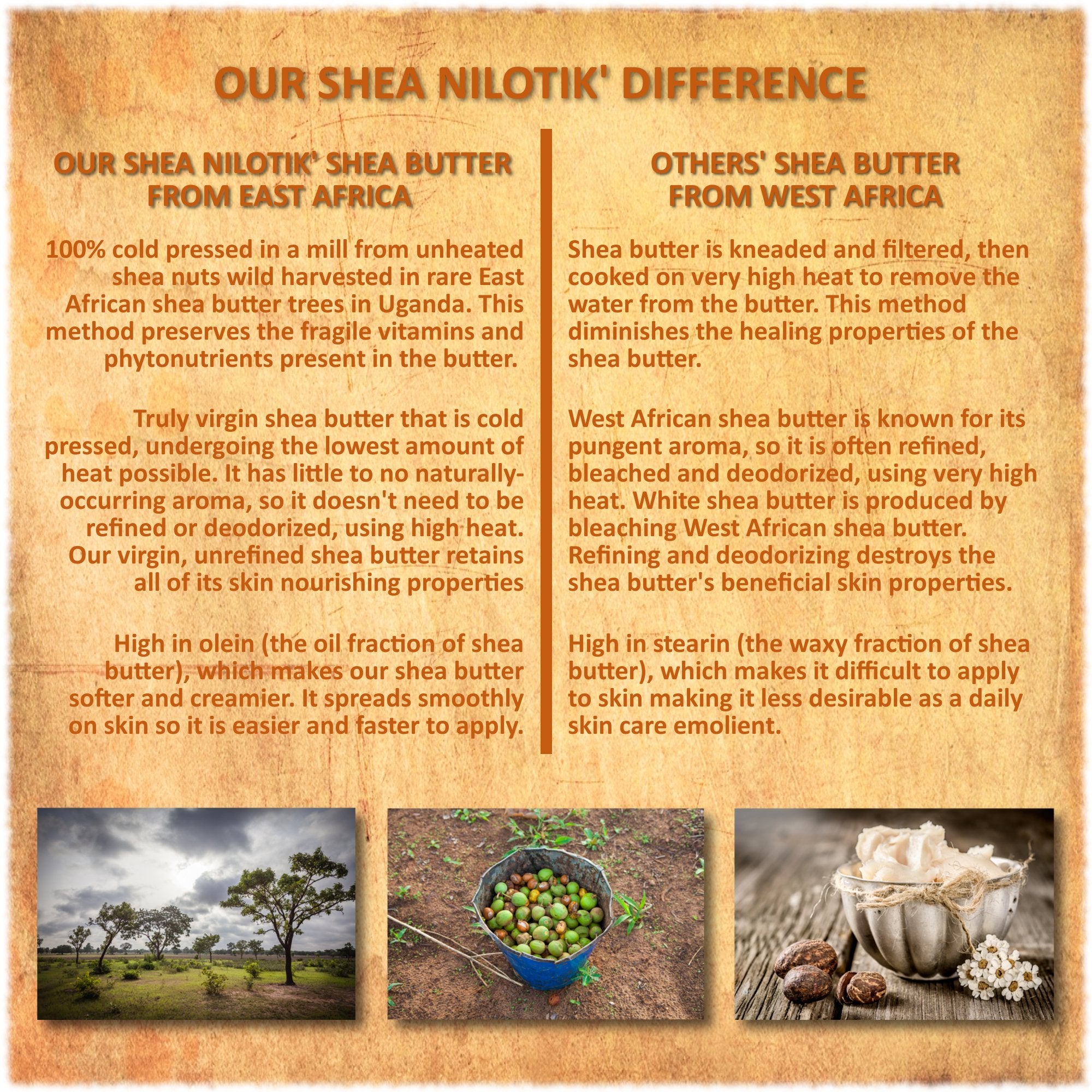 Ingrédients sans parabènes ni sulfates, Shea Terra Organics privilégie une routine naturelle