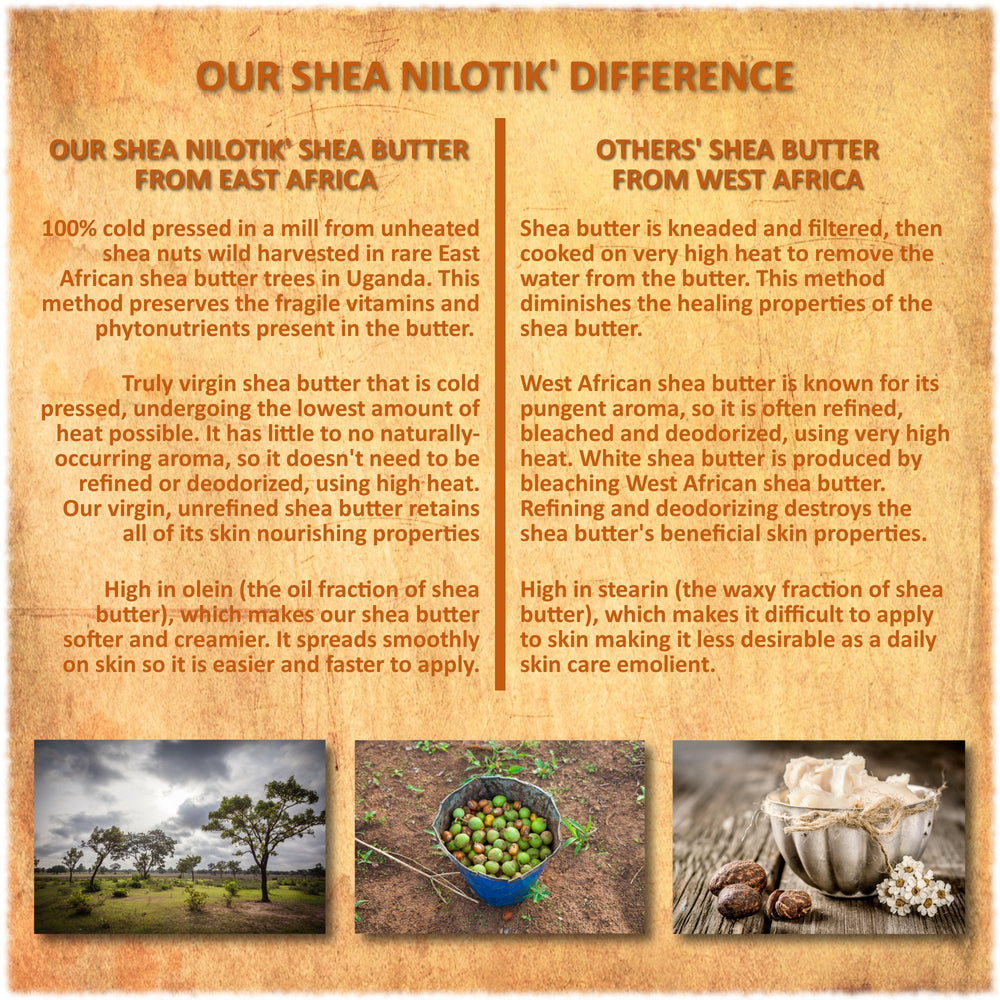 Ingrédients sans parabènes ni sulfates, Shea Terra Organics privilégie une routine naturelle