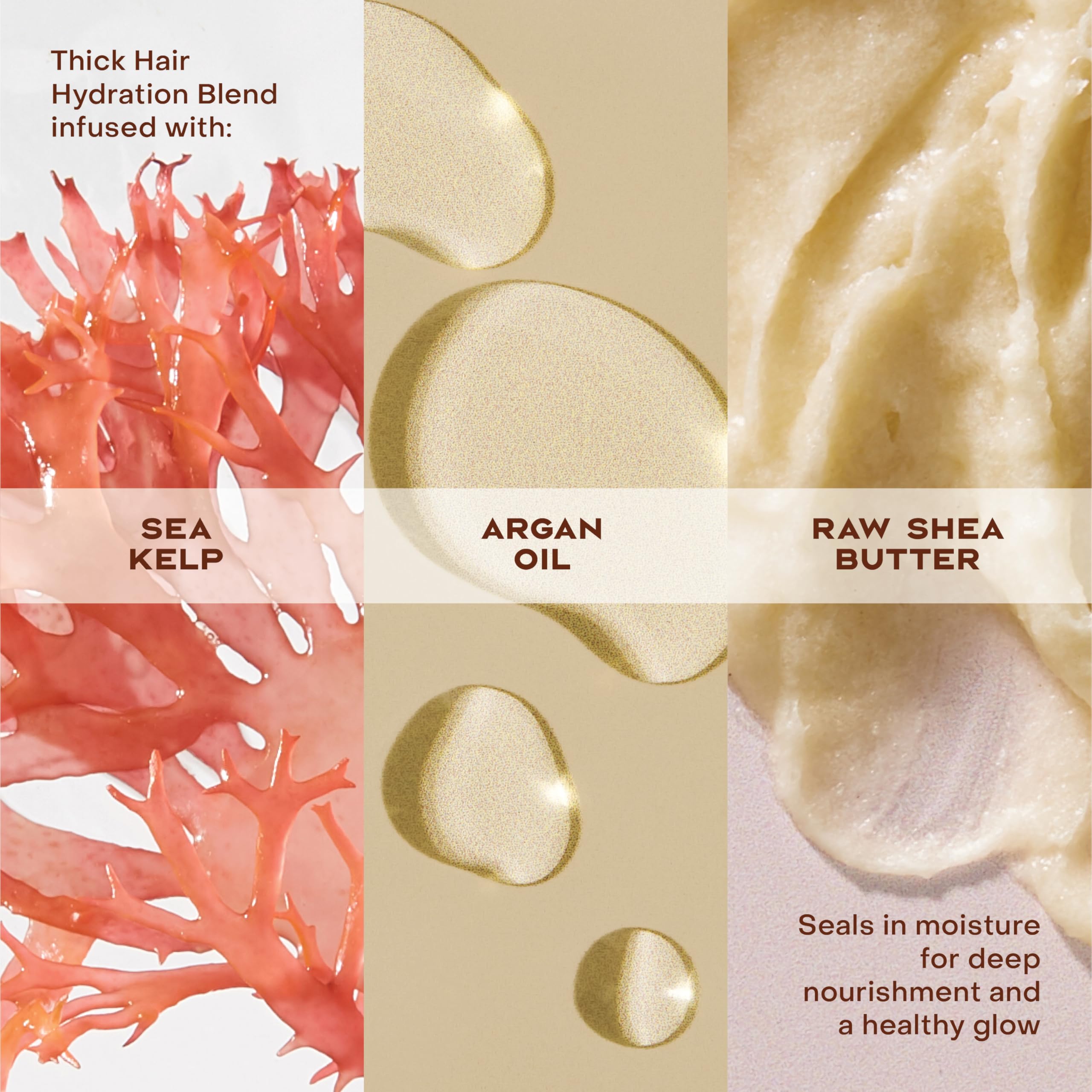 Sheamoisture huile-argan-infusion nourrit les mèches en profondeur.