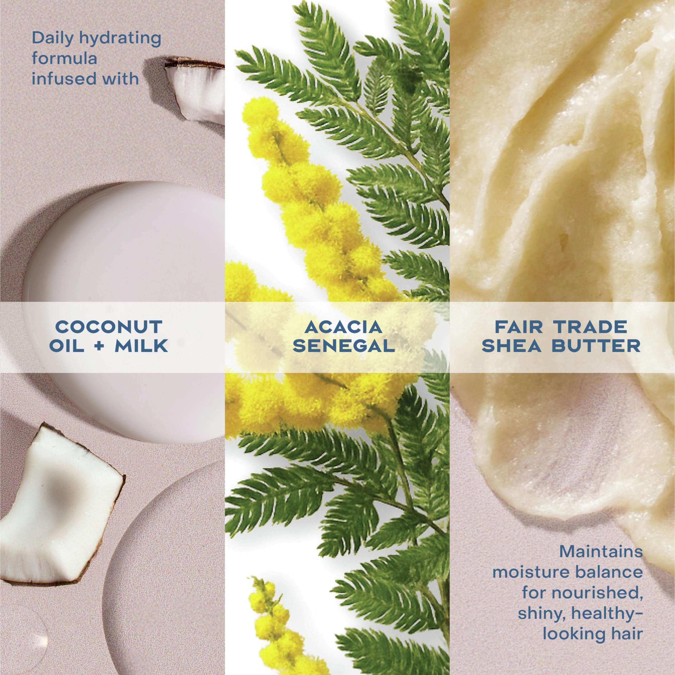 Beurre de karité Fair Trade et huile d'argan