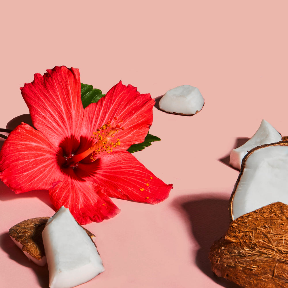 Idéal pour le rituel coiffage quotidien à domicile.