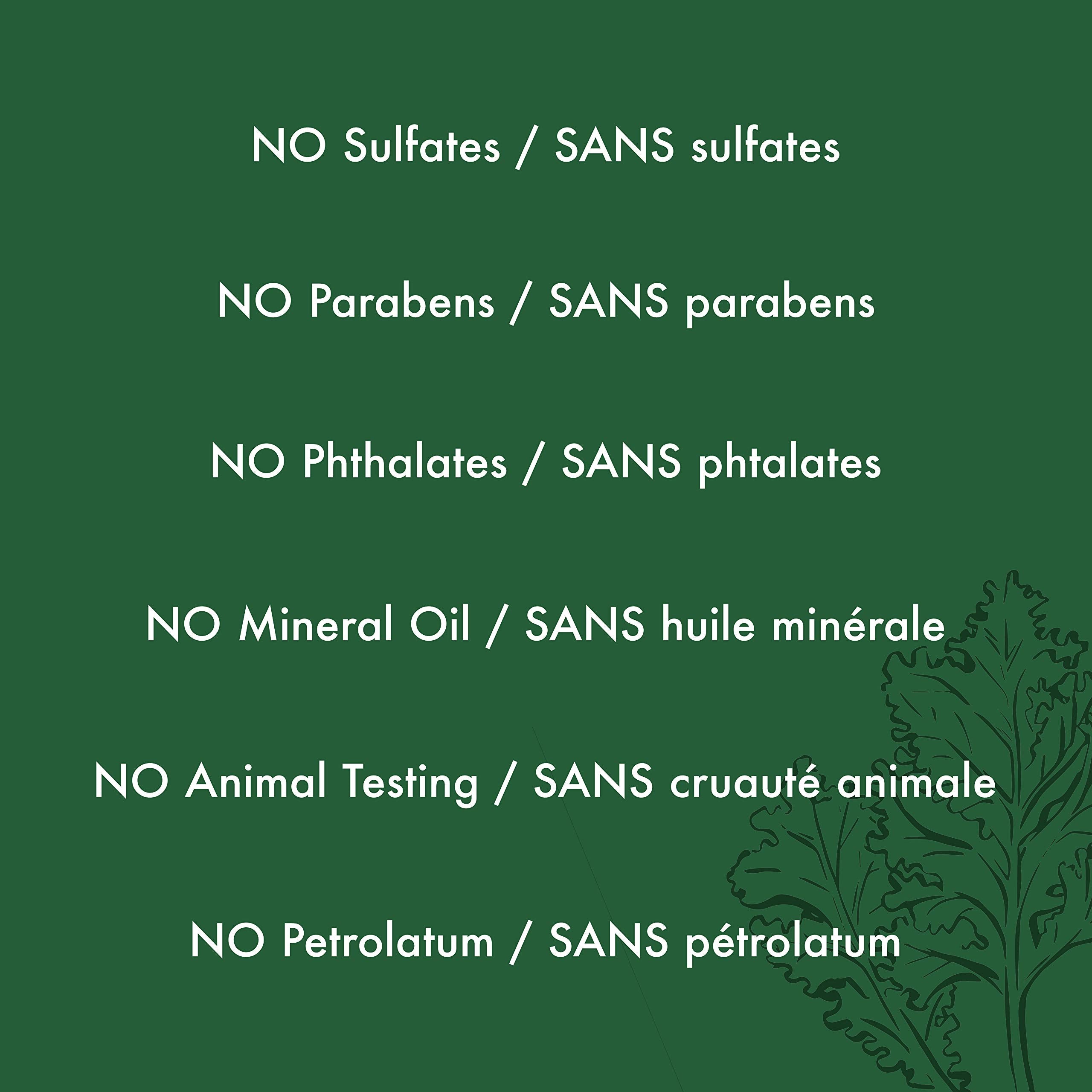 Après-shampoing riche, SheaMoisture Power Greens rend les cheveux soyeux.