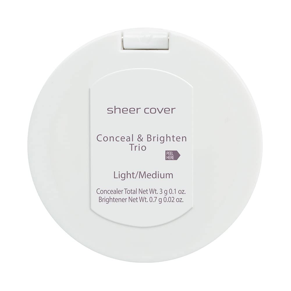 Pinceau Sheer Cover fond de teint pour une application fluide.