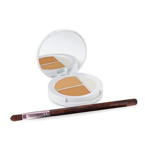 Sheer Cover Studio illuminateur pâle pour accentuer les traits