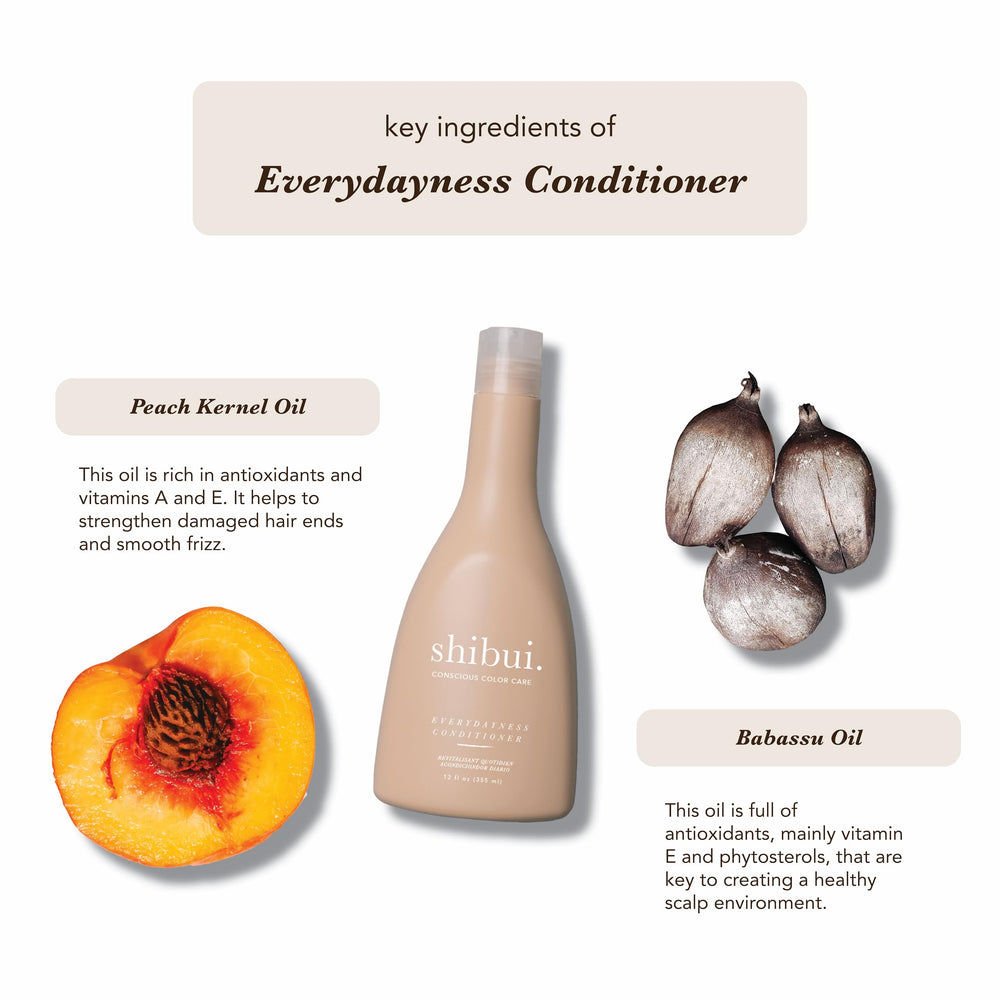 SHIBUI Everydayness Après-shampooing : brillance et douceur des longueurs